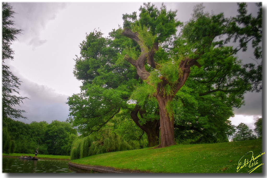 Zero-Waste-Küche: Praktische Tipps für Einsteiger